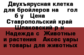 Двухъярусная клетка для бройлеров на 24 гол б/у › Цена ­ 9 000 - Ставропольский край, Шпаковский р-н, Надежда с. Животные и растения » Аксесcуары и товары для животных   